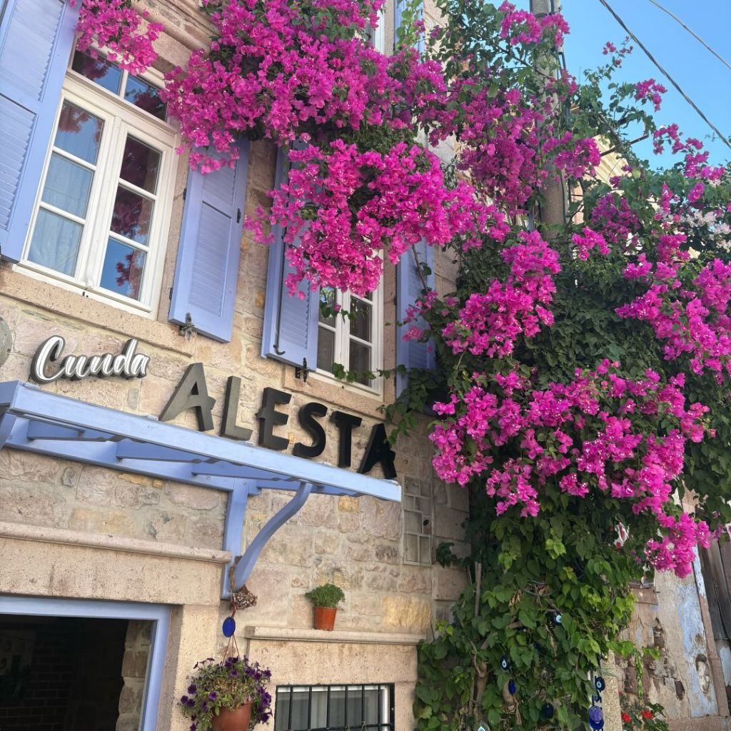 Cunda Alesta